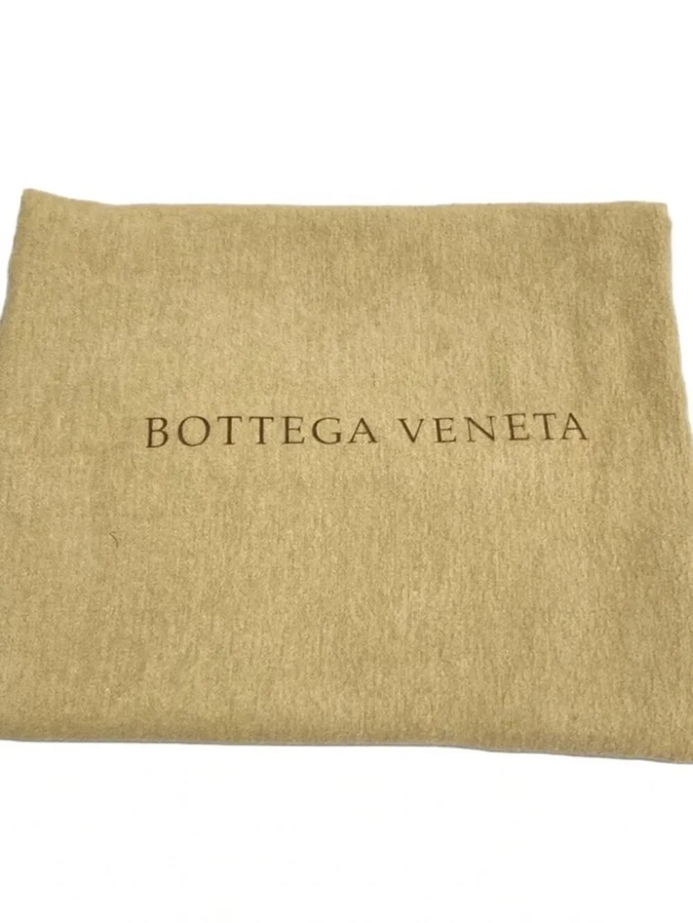 Bottega Veneta poor obviously